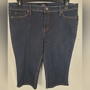 Dots Dark Washed Blue Jean Capris Y2K Sz 17